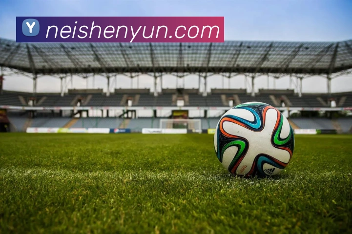 九游在线平台生态图